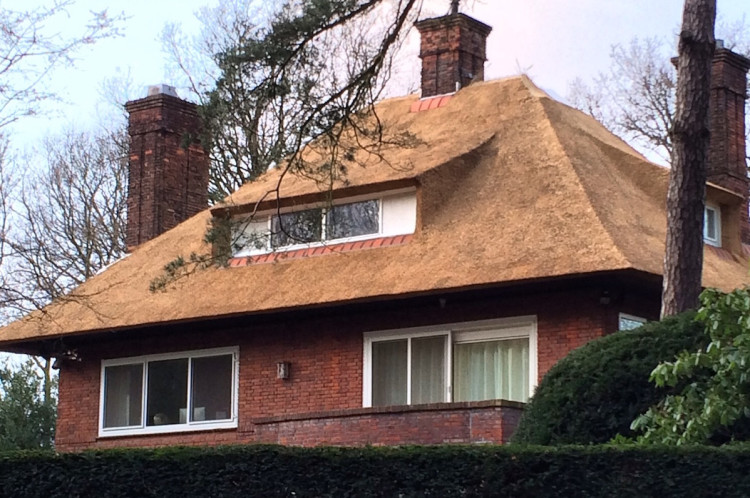 Wassenaar, Zuid-Holland