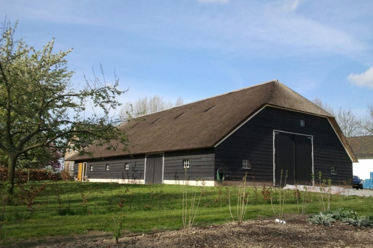 Landbouwschuur met rieten dak