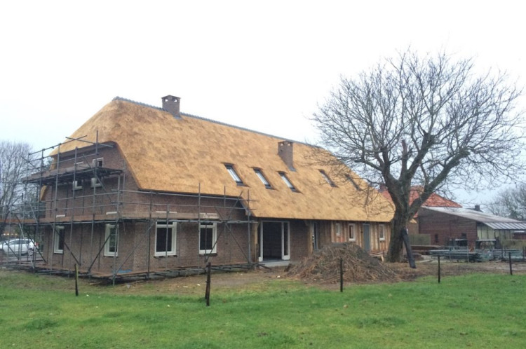Brabantse langgevelboerderij met rieten kap